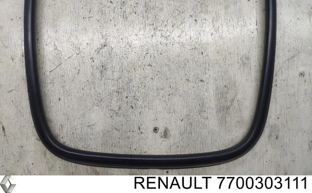  7700303111 Renault (RVI)