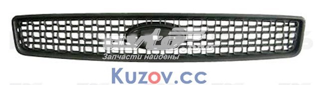 FP2807991 FPS Решітка радіатора