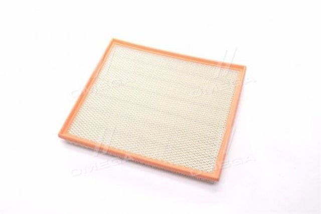 AF1920S Alpha Filter Повітряний фільтр двигуна