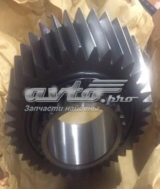  ZF Parts 1315304025
