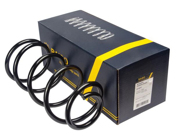 Пружина передня Raiso SF169TP ціна, від 17.83 USD