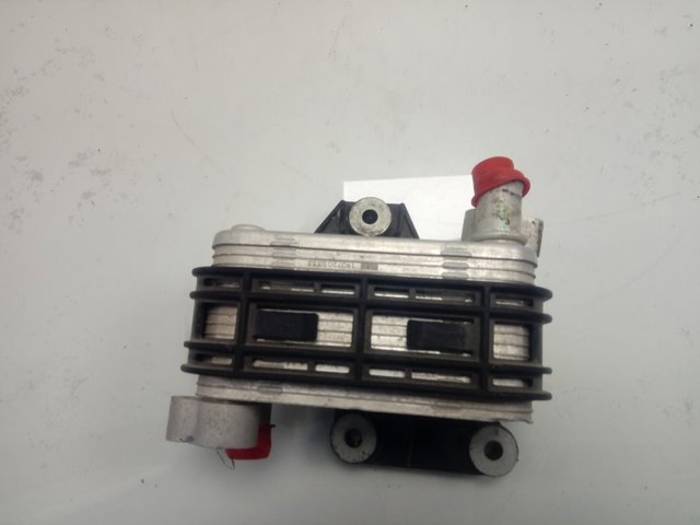  921641313R Renault (RVI)