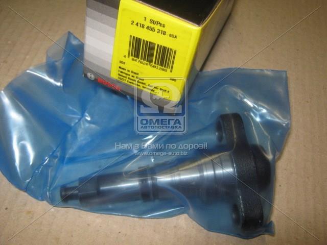 2418455318 Bosch Плунжерная пара