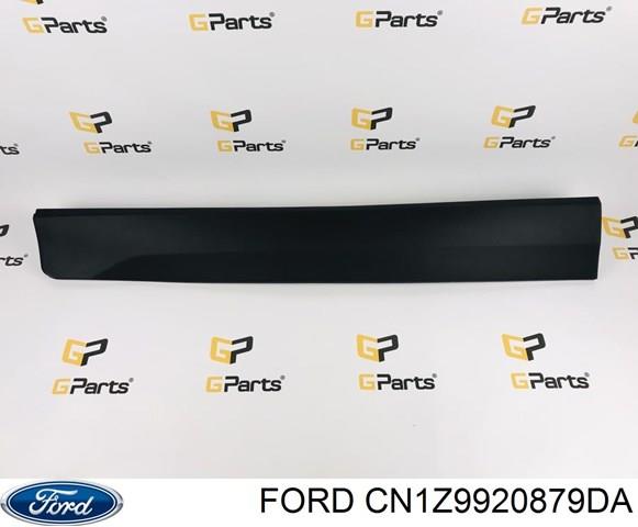 Купити CN1Z9920879DA Ford 