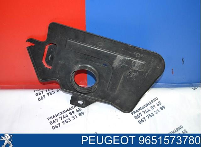 9651573780 Peugeot/Citroen 
