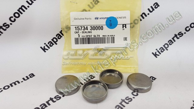 Заглушка ГБЦ/блоку циліндрів Hyundai/Kia 1573440000 ціна, від 2.67 USD