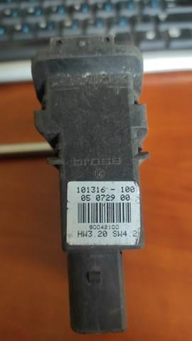 101316100 VAG 