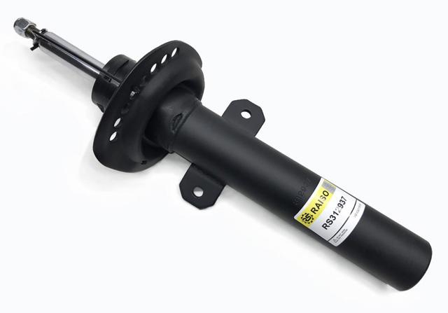 RS312937 Raiso Стійка передня