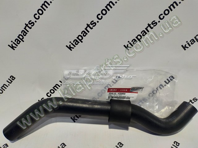 Шланг/патрубок радіатора охолодження, нижній KAP KM0600537 ціна, від 7.19 USD