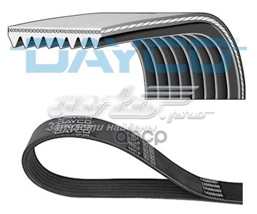 Купити 8PK1412 Continental/Siemens Ремінь генератора