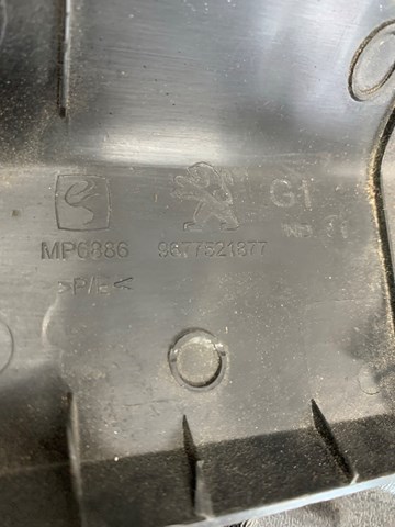  9677521877 Peugeot/Citroen