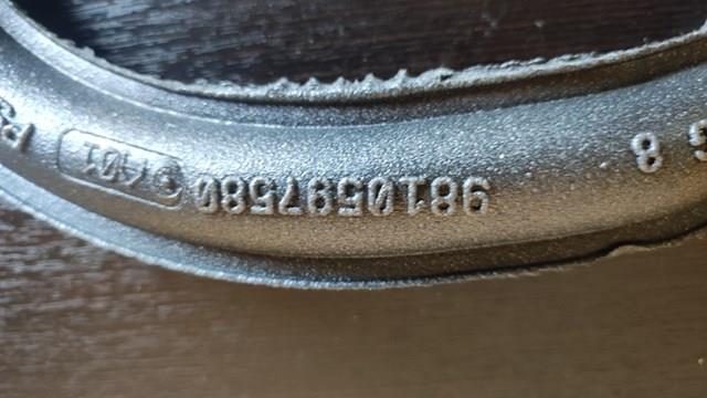 9810597580 Peugeot/Citroen 
