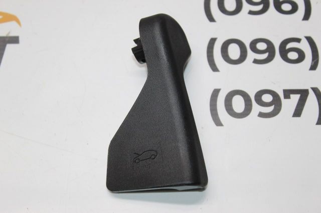 Купити 98259999ZD Peugeot/Citroen Ручка відкривання капота