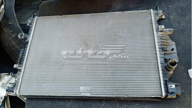 DG938005 Ford Радіатор охолодження двигуна