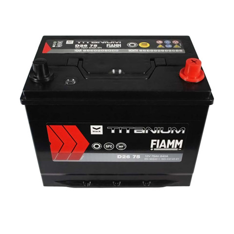 Купити 7905188 Fiamm 