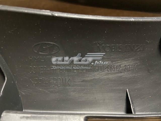  865123Q700 Hyundai/Kia
