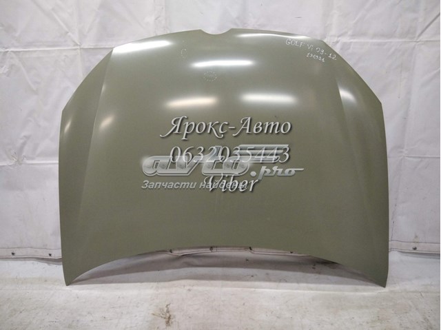 PVW20043A Signeda Капот
