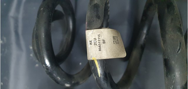 Пружина задня VAG 80A511115 ціна, від 38.00 USD