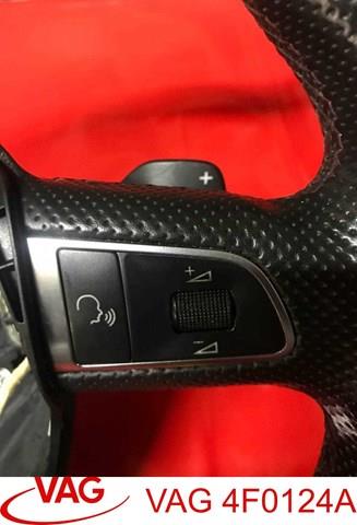 4F0124A VAG 