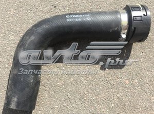SH0113330 Mazda Трубка, що нагнітається