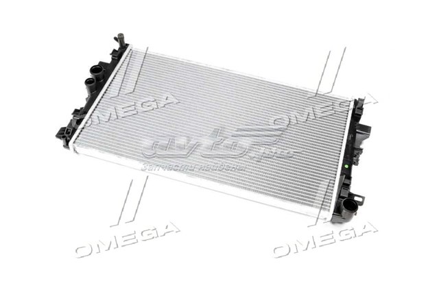 TP1562572 Tempest Радіатор охолодження двигуна