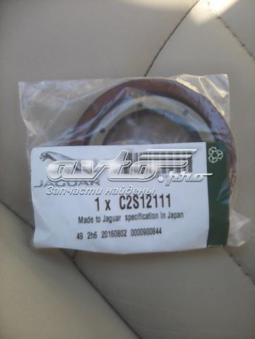C2S12111 Jaguar 