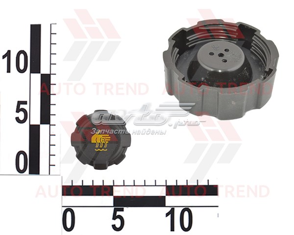 Кришка розширювального бачка 21081311065 Tempest