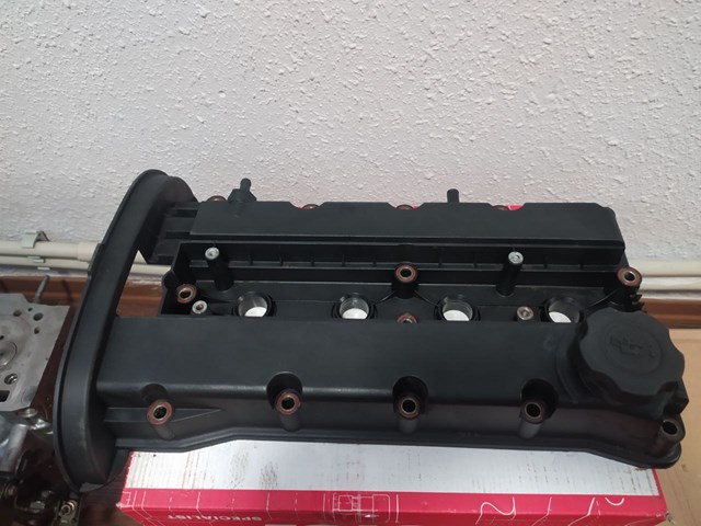  HEVC1009 Hotaru