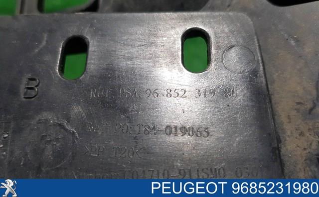 9685231980 Peugeot/Citroen 