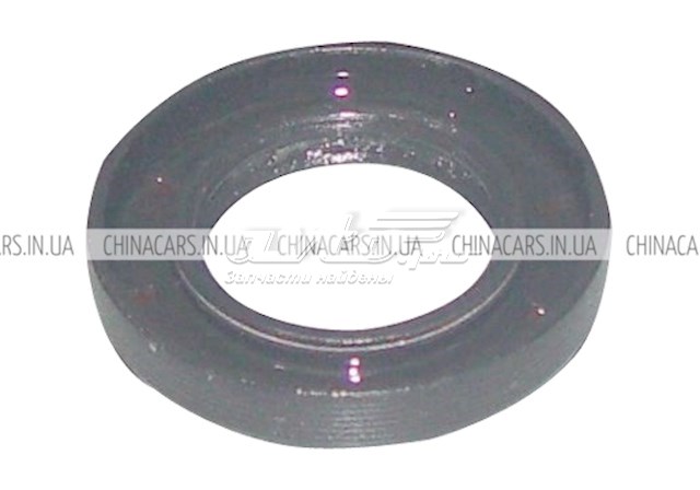  QR523T2402232 Chery