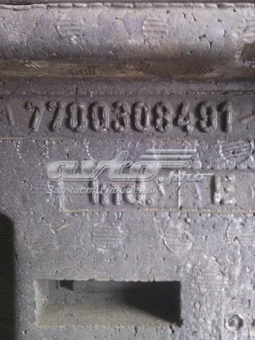  7700308491 Renault (RVI)