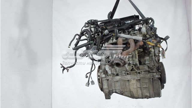 Купити 10002PWAE05 Honda 