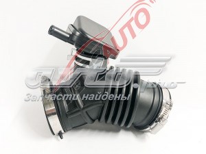 165765RB1B Nissan/Infiniti Патрубок повітряний, вихід повітряного фільтра