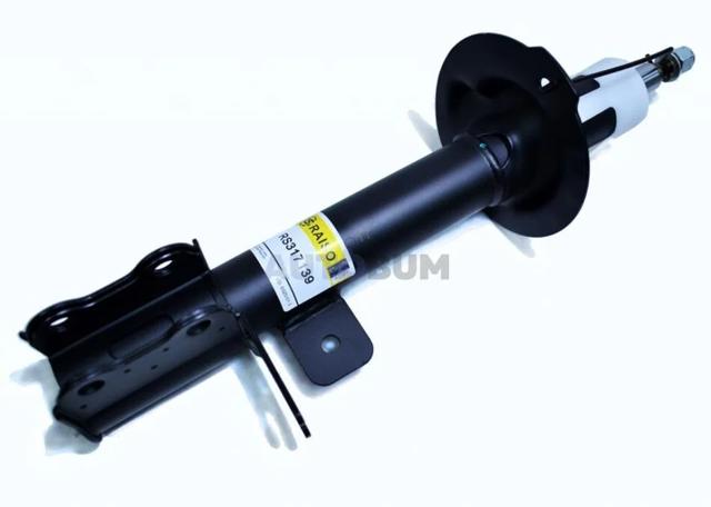 Амортизатор задній, лівий RS317139 Raiso