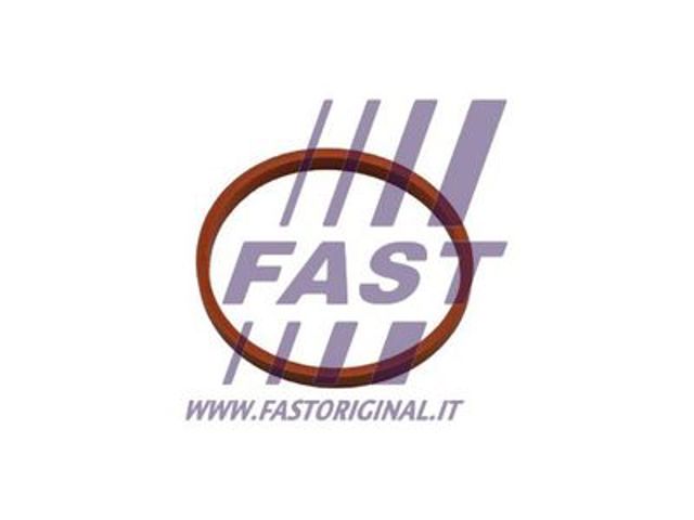 Купити FT48932 Fast Кільце ущільнювача патрубка интеркуллера