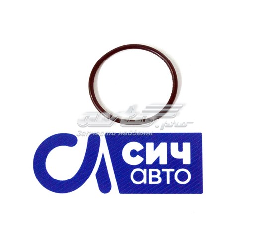407649900 Victor Reinz Прокладка фланця (трійника) системи охолодження