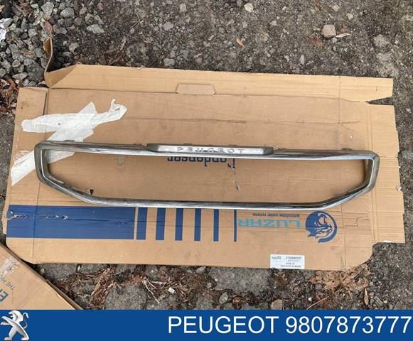  Peugeot/Citroen 9807873777 ціна, від 197.81 USD