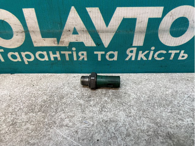 Купити 334919 Renault (RVI) 