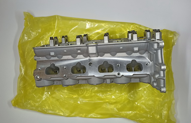 Головка блоку циліндрів General Motors 55573010