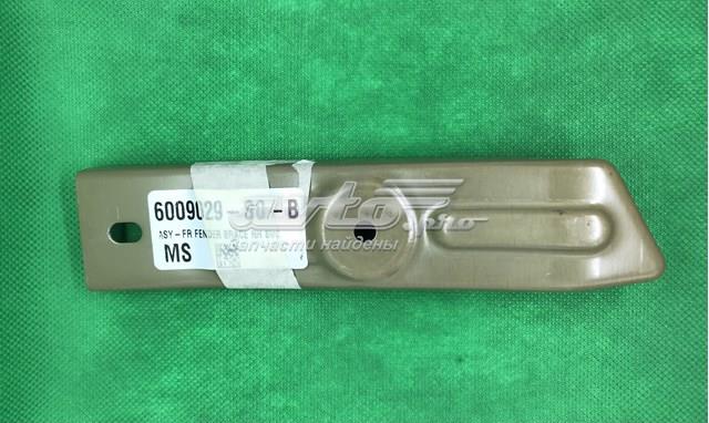 Купити 6009029S0B Tesla 