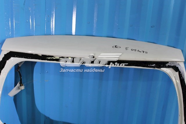 737000X040 Hyundai/Kia Треті двері