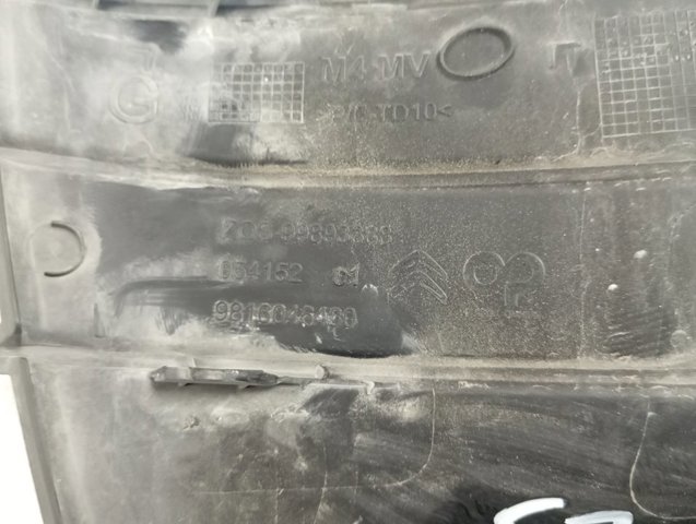 9816046480 Peugeot/Citroen 