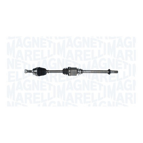 TDS0048 Magneti Marelli 