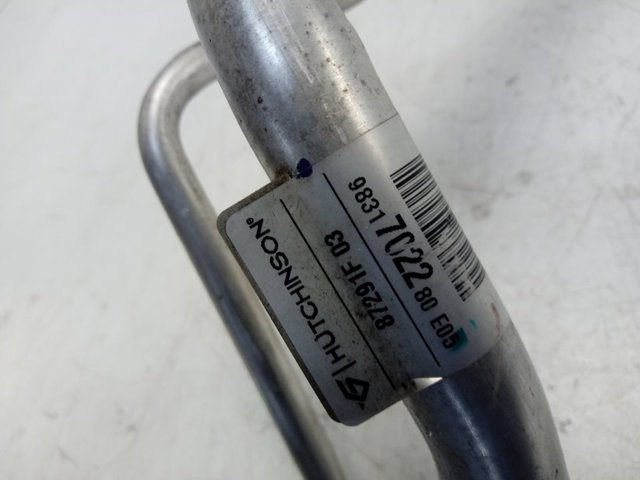 9831702280 Peugeot/Citroen 