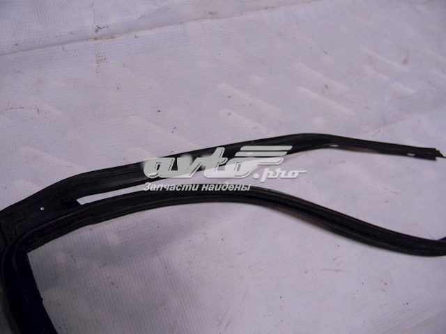 Купити 831302H000 Hyundai/Kia Ущільнювач задніх дверей