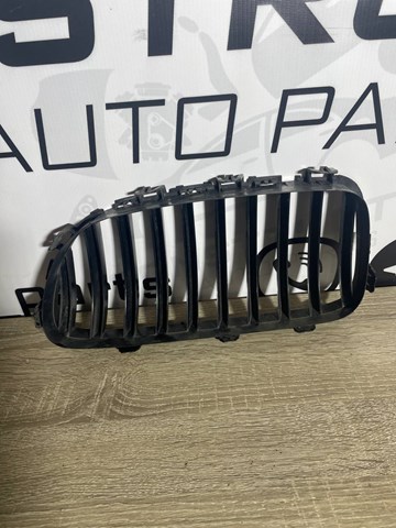 18801310 BMW Решітка радіатора