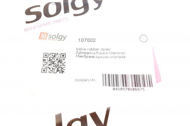 107002 Solgy Масловіддільник