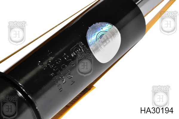 HA30194 Hort 