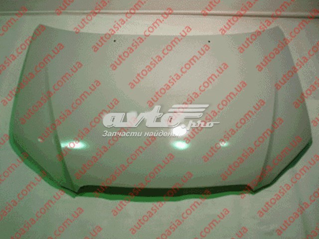Купити BYDF38402010 BYD Капот