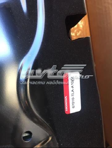  FPS FP3037316